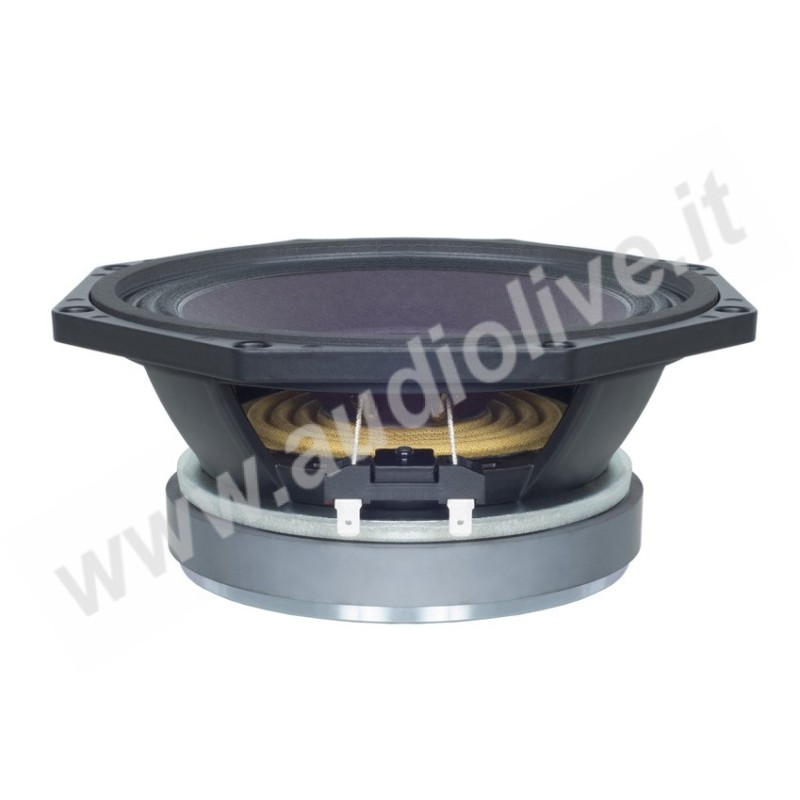 B&C SPEAKERS _ ALTOPARLANTE _ 8PE21