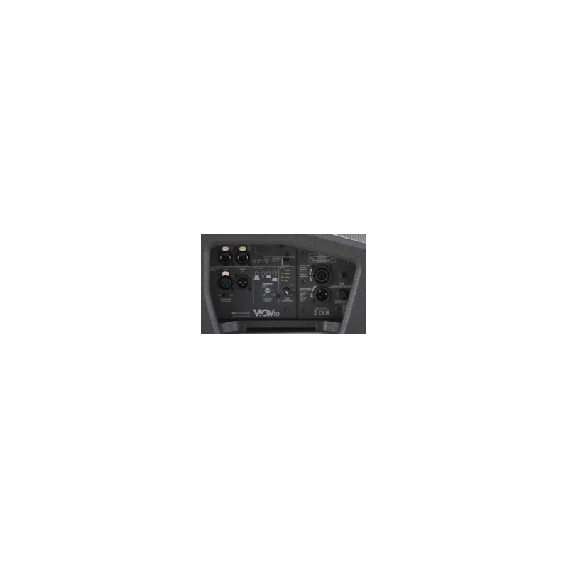 VIO W10 _ COMPLETE AMPLIFIER MODULE