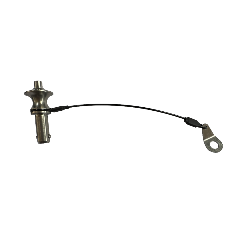 PIN _ PIN FRONT WITH LANYARD