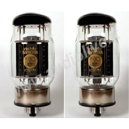 Par combinado KT88 Electro...