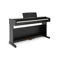 PIANOFORTI
